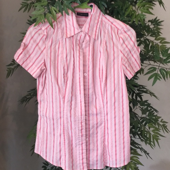 New York & Company Tops - 3/$15 New York and Co Short Sleeve Button Up